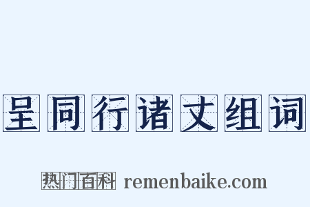 呈同行诸丈组词是什么意思的图片